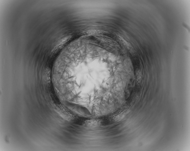 X0000096380356200802141437