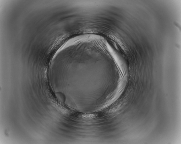 X0000096380357200802141437