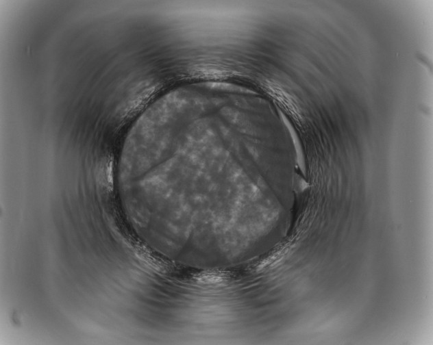 X0000096380358200802141437