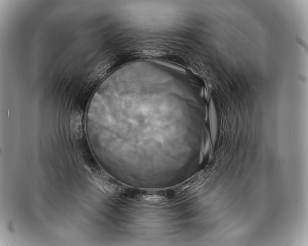 X0000096380360200802141437