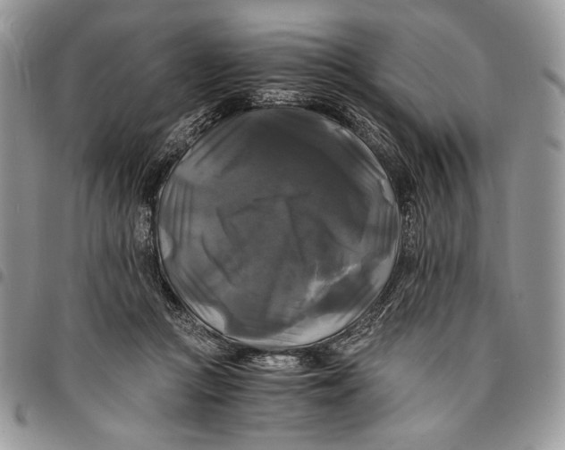 X0000096380361200802141437