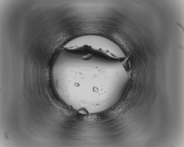 X0000096380362200802141437