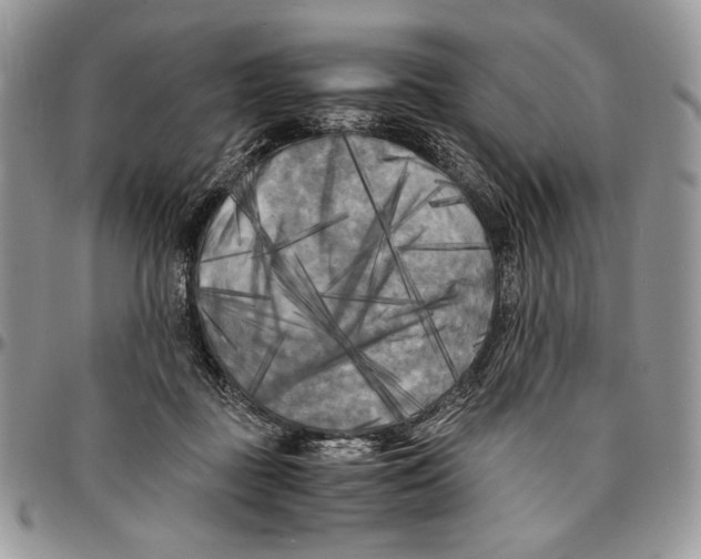 X0000096380363200802141437