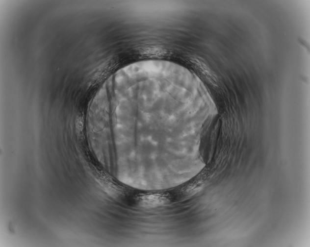 X0000096380365200802141437