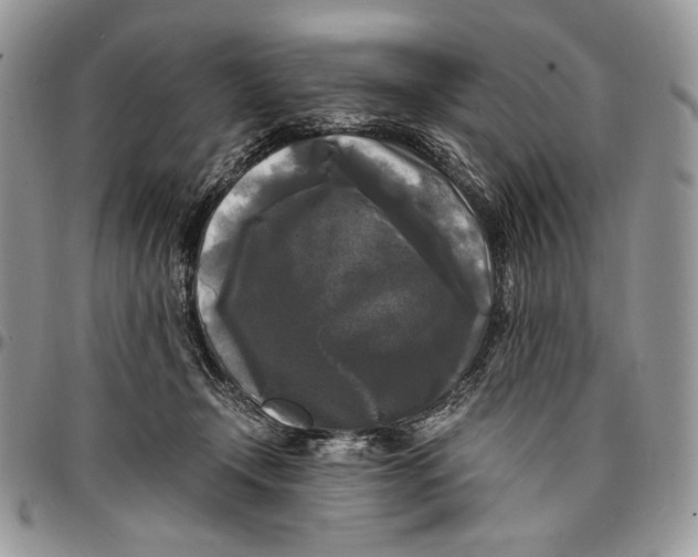 X0000096380366200802141437