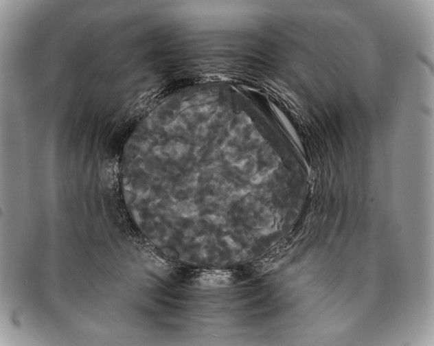 X0000096380369200802141437