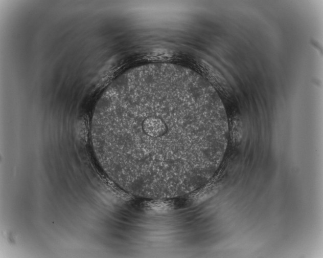 X0000096380370200802141437