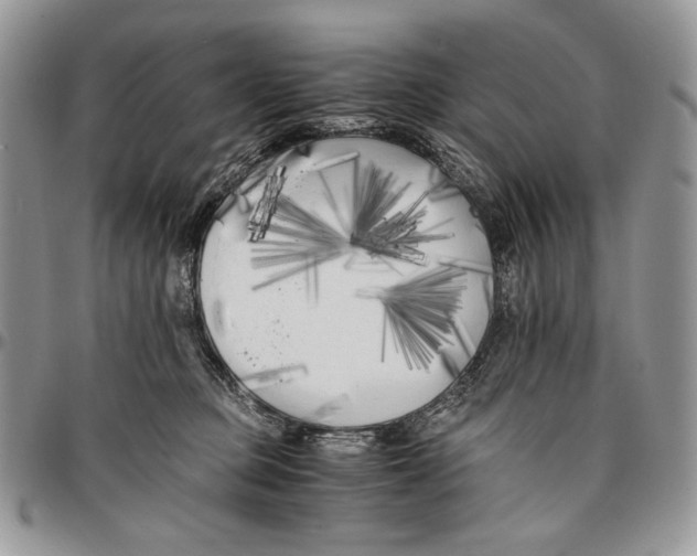 X0000096380373200802141437