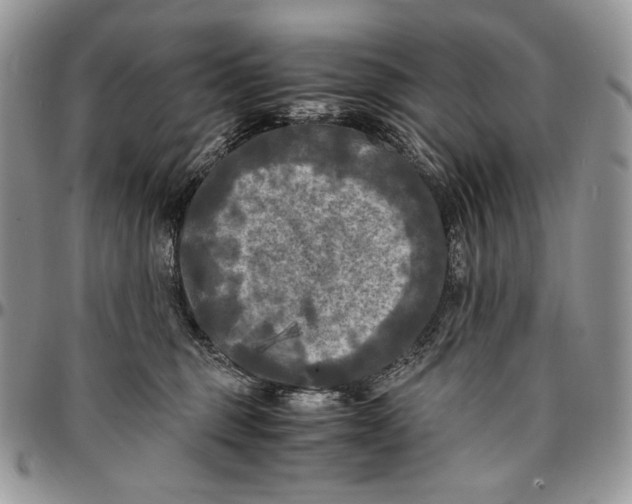 X0000096380375200802141437