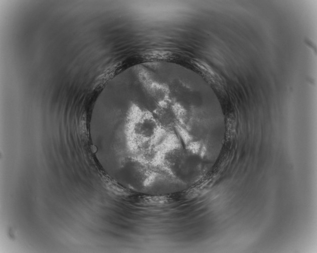 X0000096380377200802141437