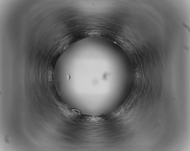 X0000096380379200802141437