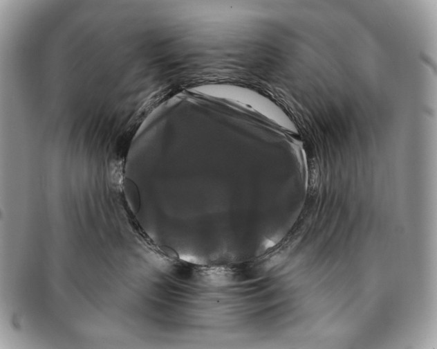 X0000096380383200802141437