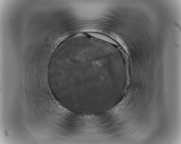 X0000096380385200802141436