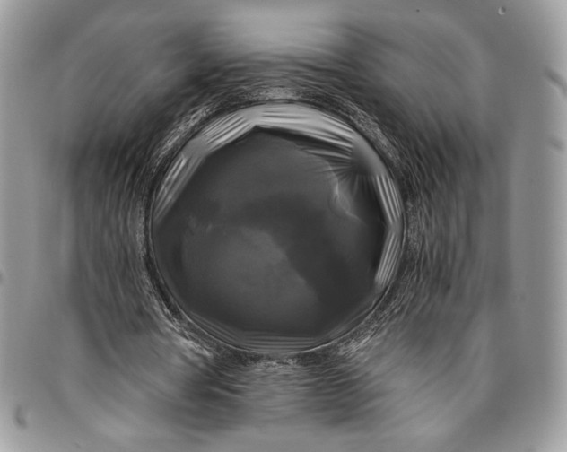 X0000096380386200802141436