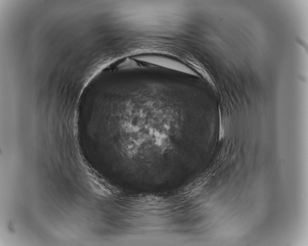 X0000096380387200802141436