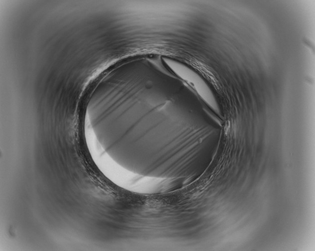 X0000096380388200802141436