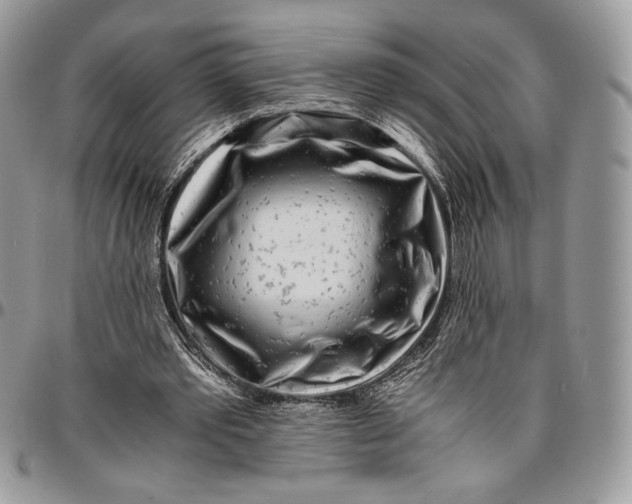 X0000096380389200802141436