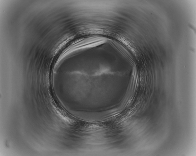 X0000096380390200802141436