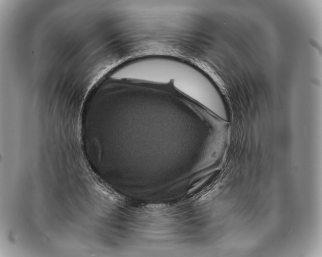 X0000096380391200802141436