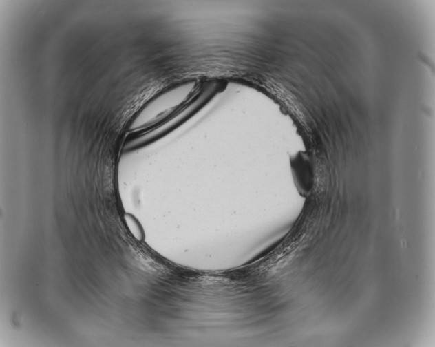 X0000096380393200802141436