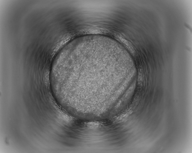 X0000096380394200802141436