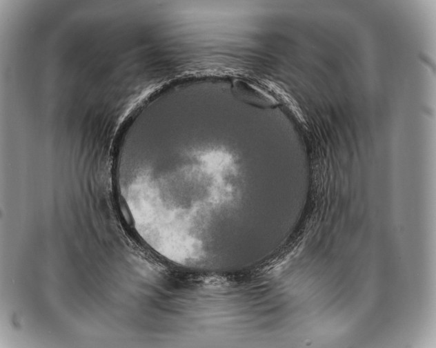 X0000096380395200802141436