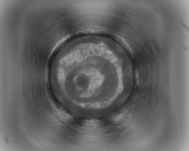 X0000096380396200802141436