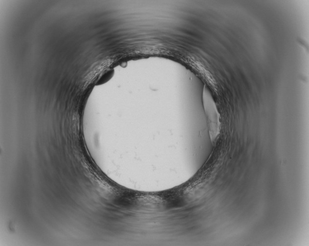 X0000096380397200802141436