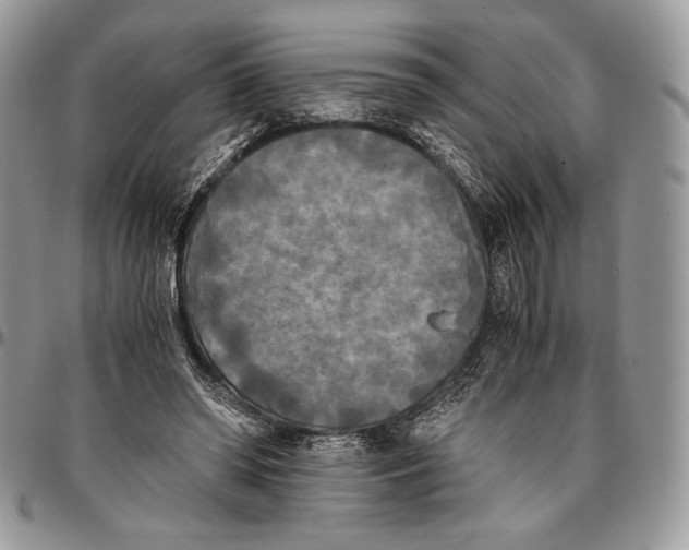 X0000096380398200802141436