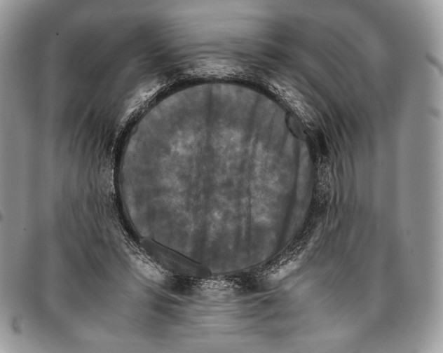 X0000096380399200802141436