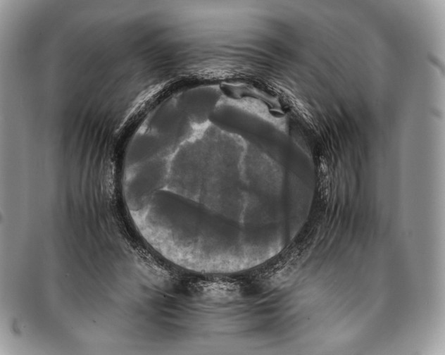 X0000096380400200802141436