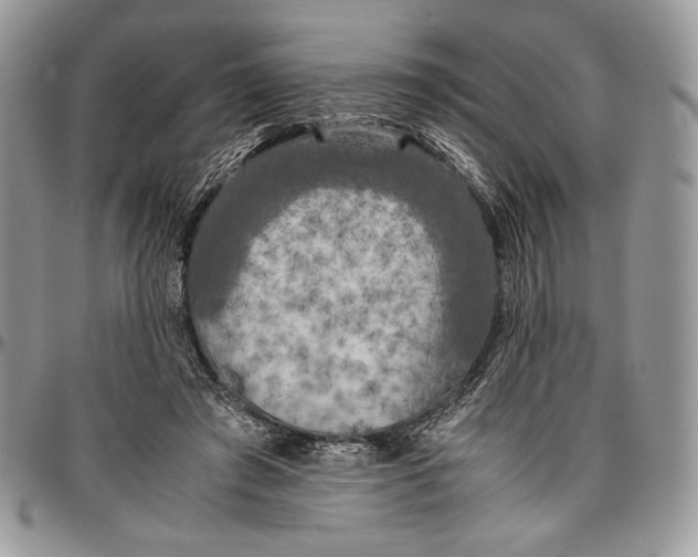 X0000096380401200802141436