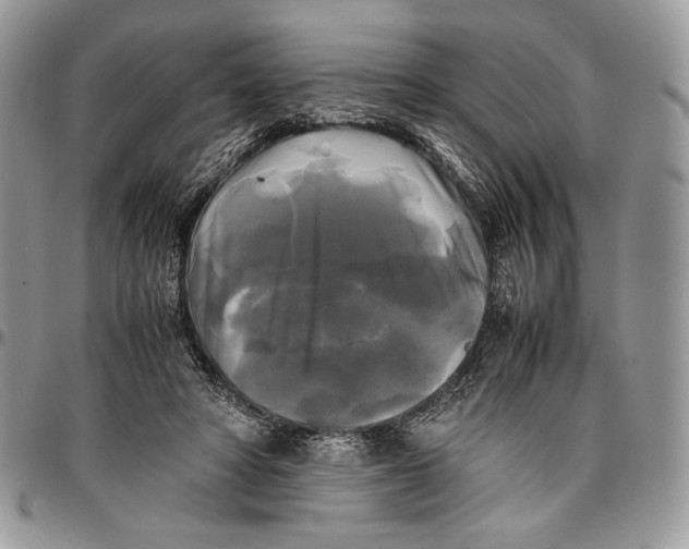 X0000096380402200802141436