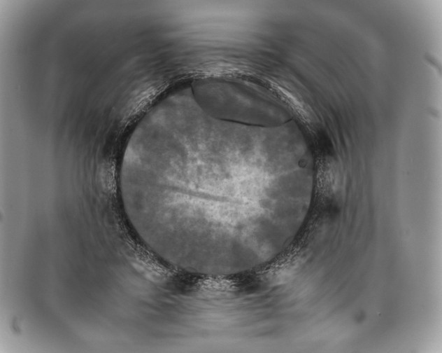 X0000096380403200802141436