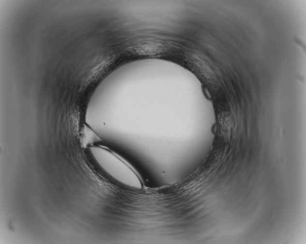 X0000096380404200802141436