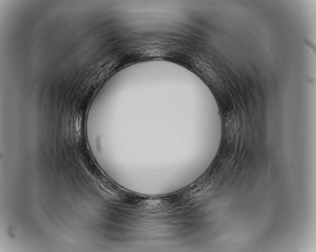 X0000096380406200802141436