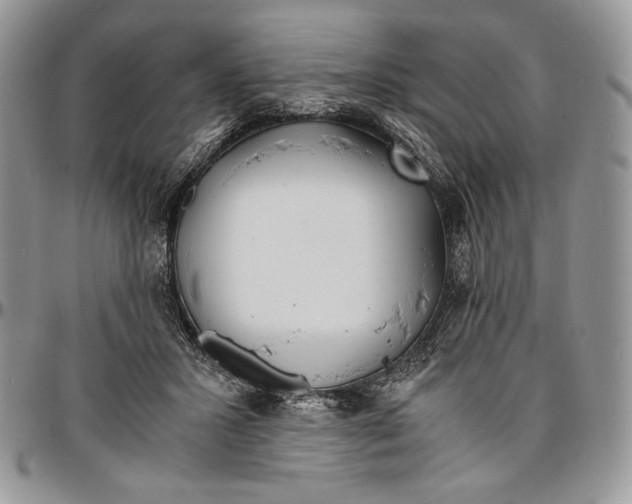 X0000096380407200802141436