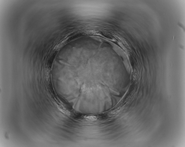 X0000096380409200802141436