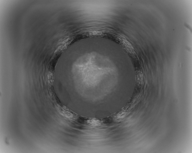 X0000096380419200802141436