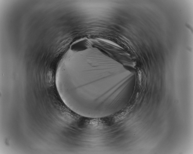 X0000096380420200802141436