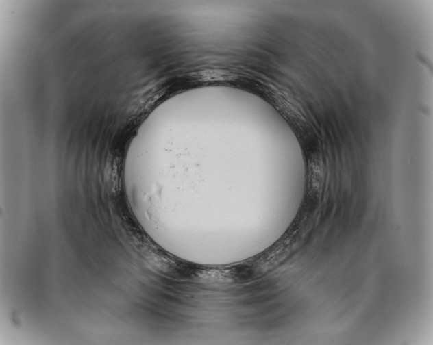 X0000096380422200802141436