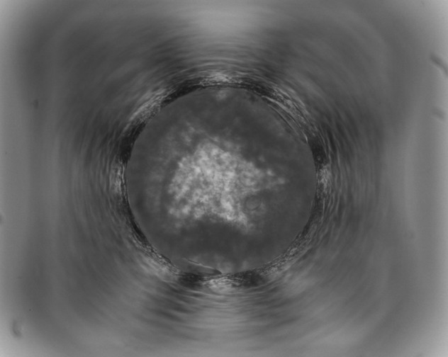 X0000096380423200802141436