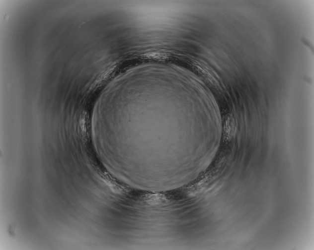 X0000096380424200802141436