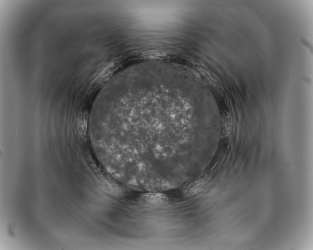 X0000096380427200802141436