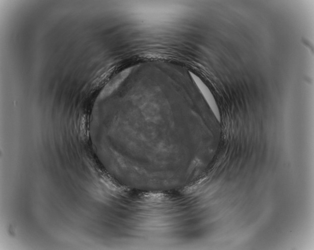 X0000096380428200802141436