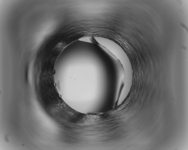 X0000096380429200802141436