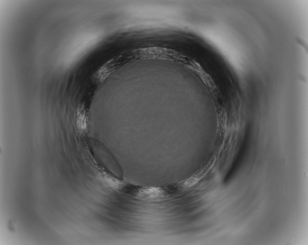 X0000096380431200802141436