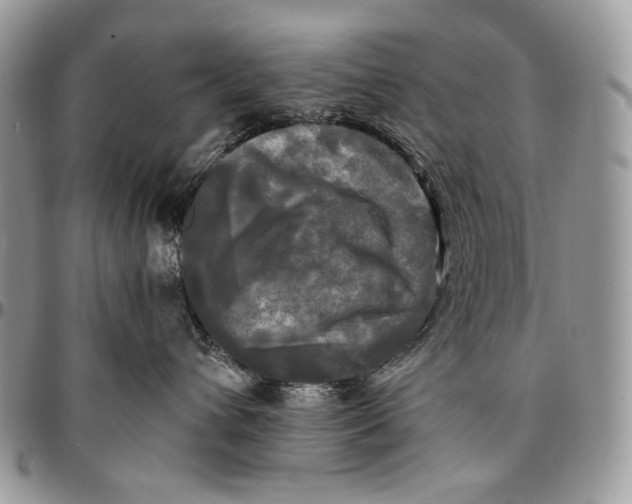 X0000096380432200802141436