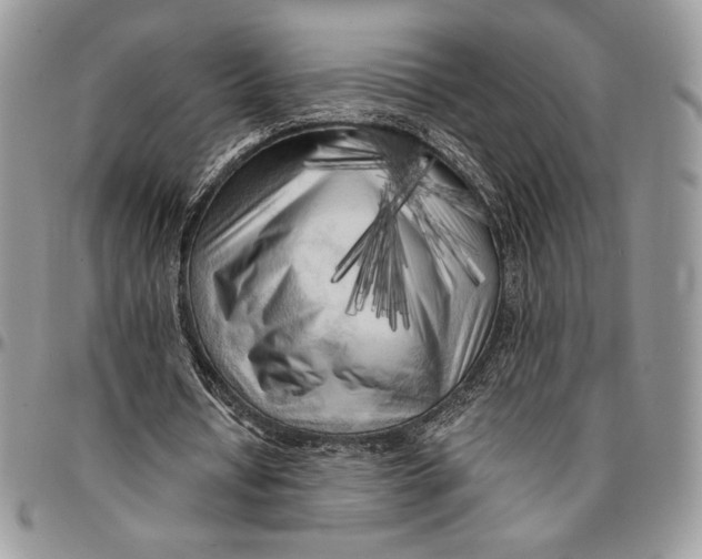 X0000096380434200802141435