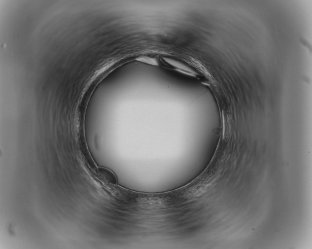 X0000096380435200802141435